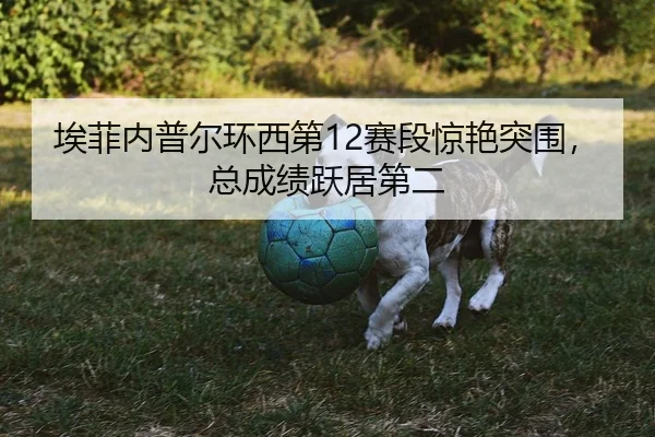 埃菲内普尔环西第12赛段惊艳突围，总成绩跃居第二